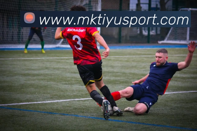 MK体育APP 封面图